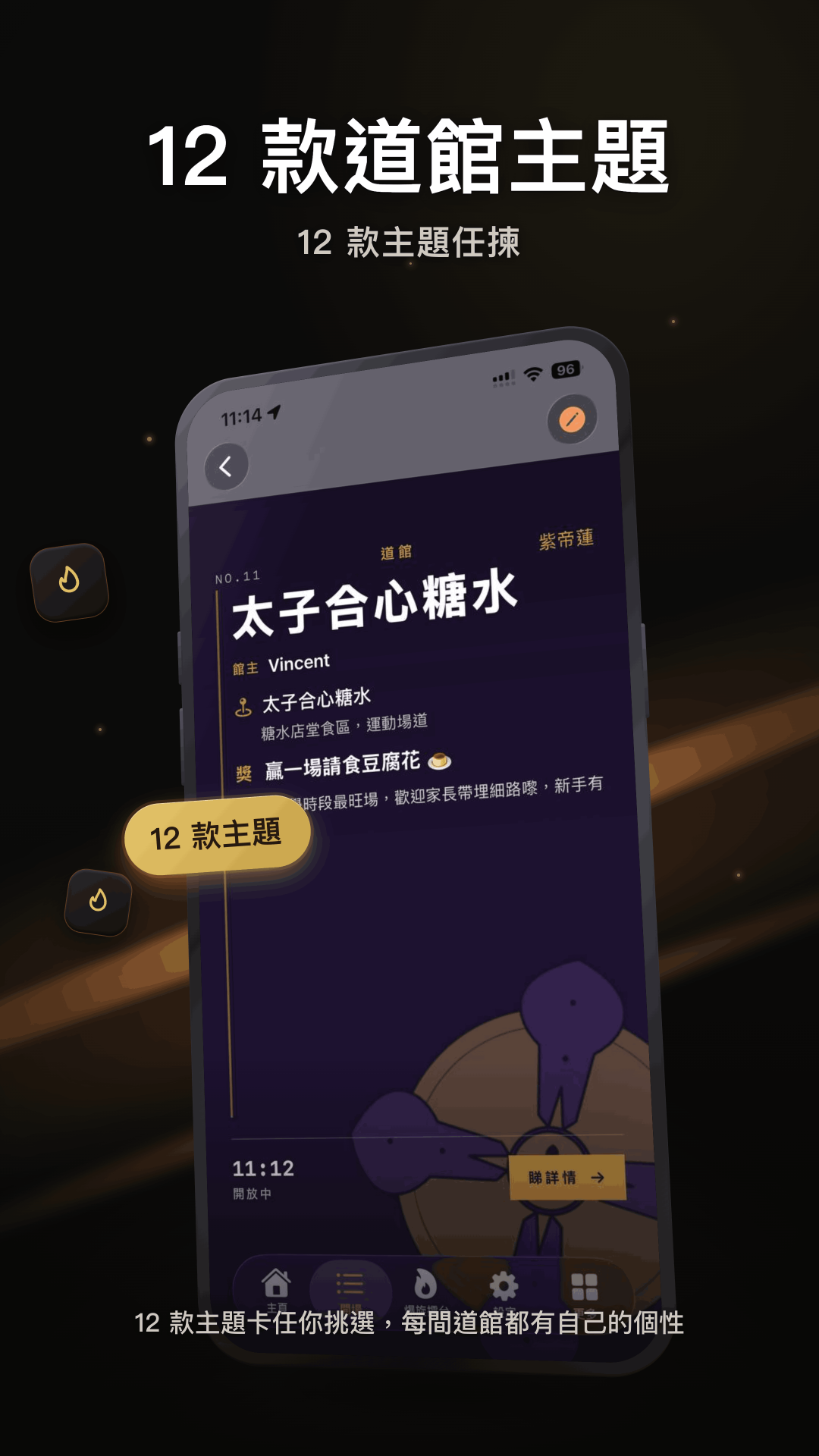 12 dojo themes